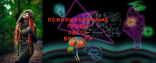 круглые Дмитриев