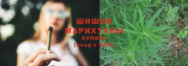 твердый Дмитров