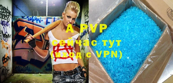 твердый Дмитров