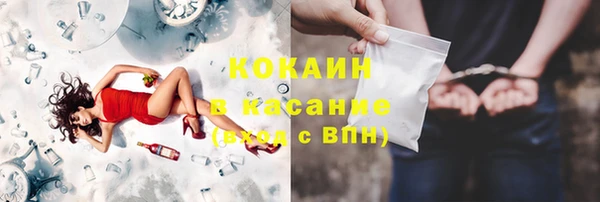 твердый Дмитров