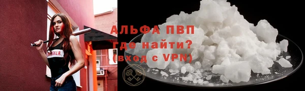 твердый Дмитров