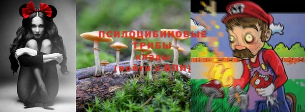 круглые Дмитриев
