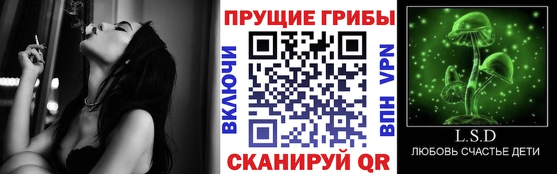 Купить  Балашов  Галлюциногенные грибы мухоморы 